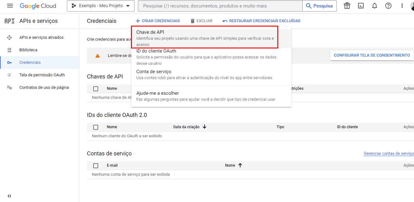 Como obter/criar uma chave API do Google Maps 5 Chave API
